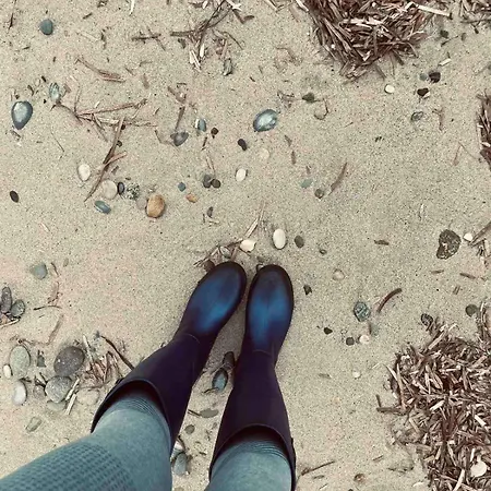 Kalendes فيلة Kalandra